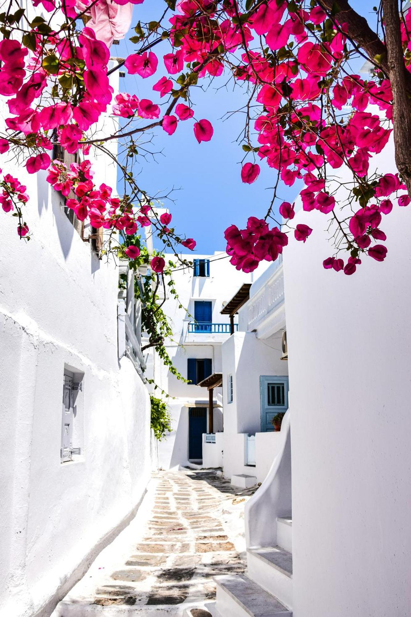 Aniko Suites White Alley Mykonos Town Exteriér fotografie